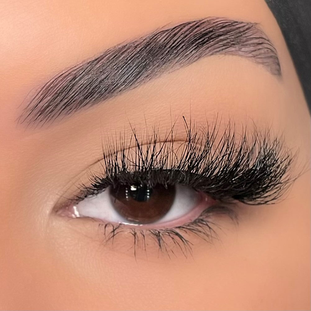 Diamond Collection – Reign